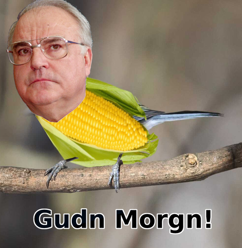 Die Kohlmaise in ihrem natürlichen Lebensraum